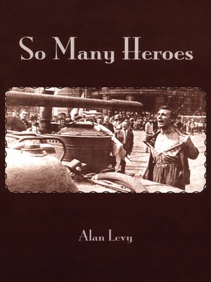 cover image of So Many Heroes